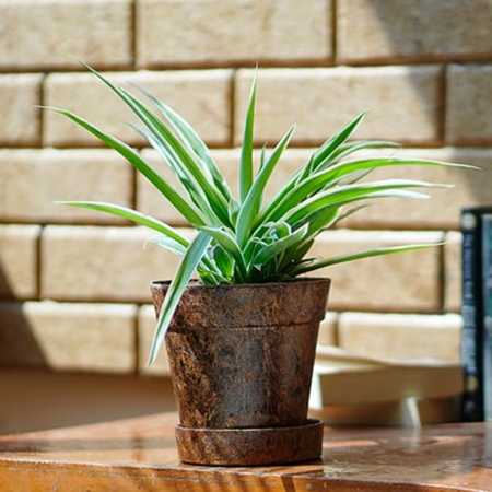 EnPot 4" Set of 3