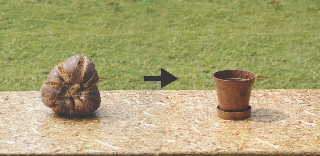 Eco Gardening: Why Coir Planters and Pots Are Better for Your Plants