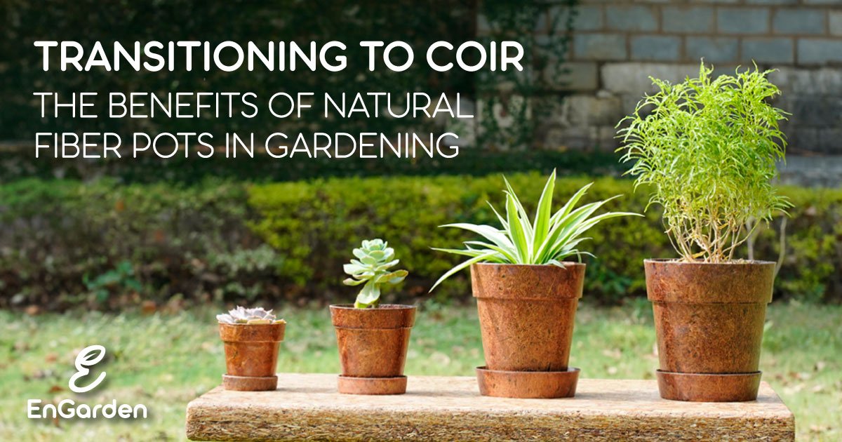 Transitioning to Coir: The Benefits of Natural Fiber Pots in Gardening