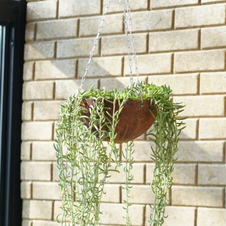 EnBasket 10"