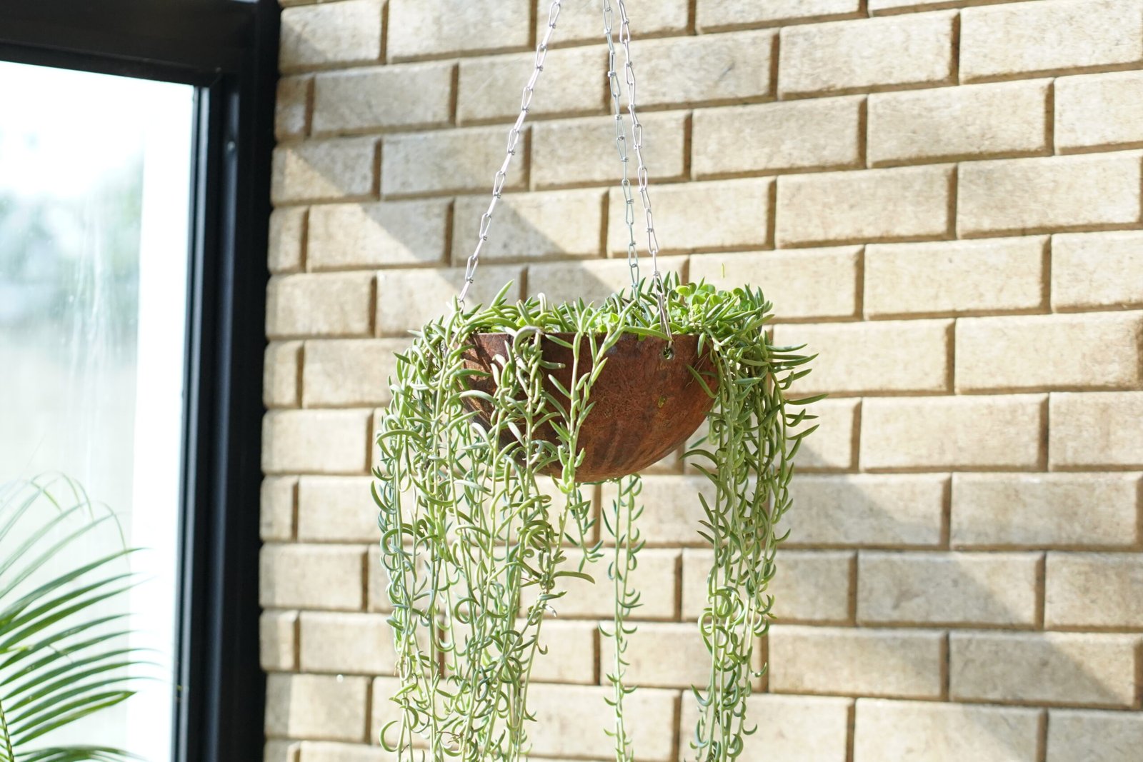 EnBasket 12″ Set of 5